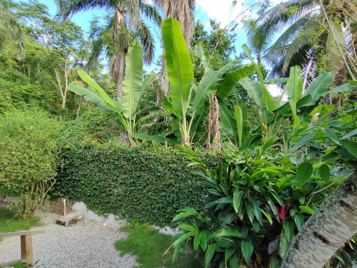 House Jardin Del Caribe Aparthotel Las Terrenas Kültér fotó