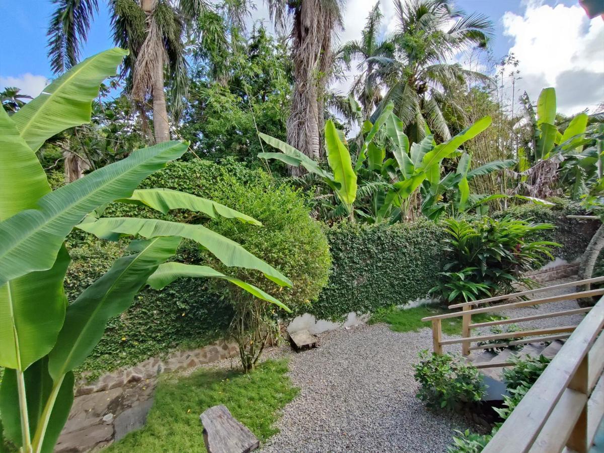 House Jardin Del Caribe Aparthotel Las Terrenas Kültér fotó